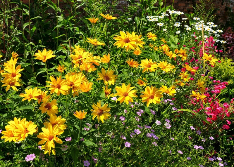 Wollaton Hall Walled Garden